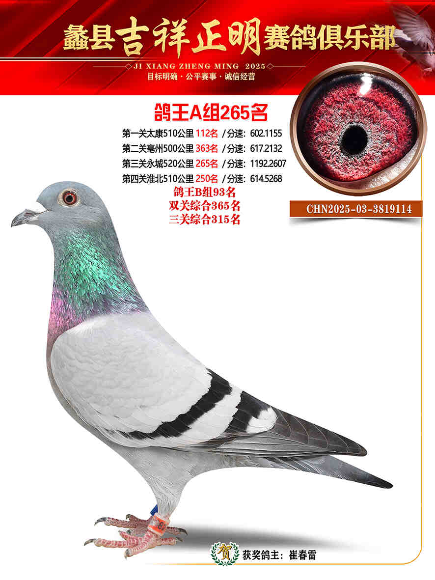 25年秋吉祥正明265号