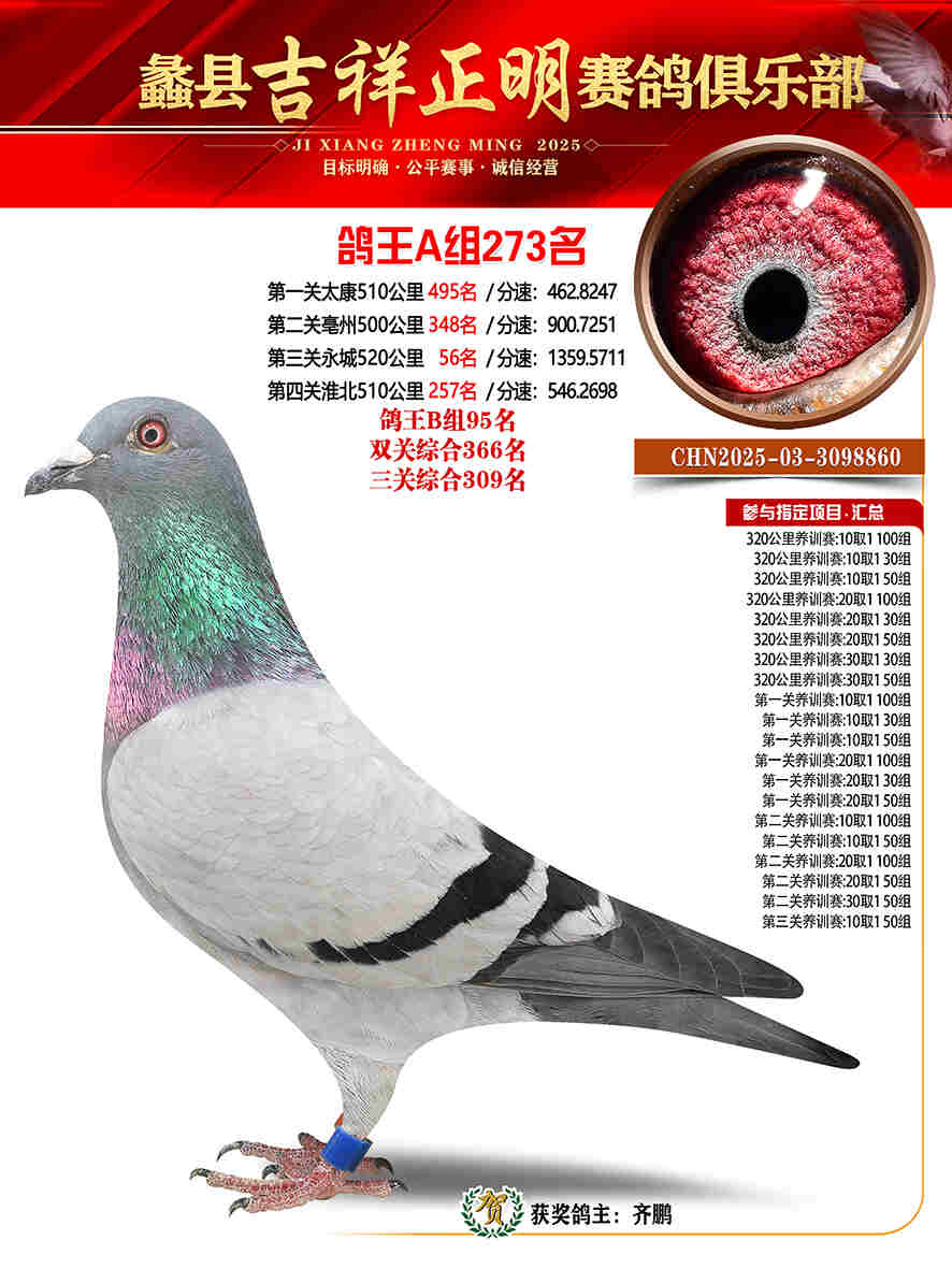 25年秋吉祥正明273号