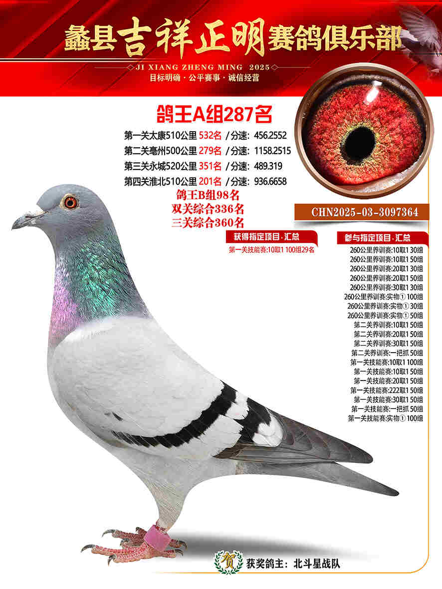 25年秋吉祥正明287号