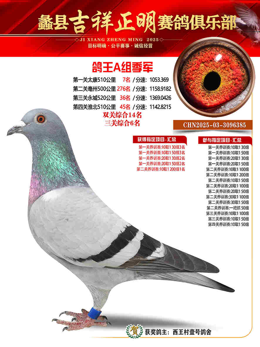 25年秋吉祥正明3号