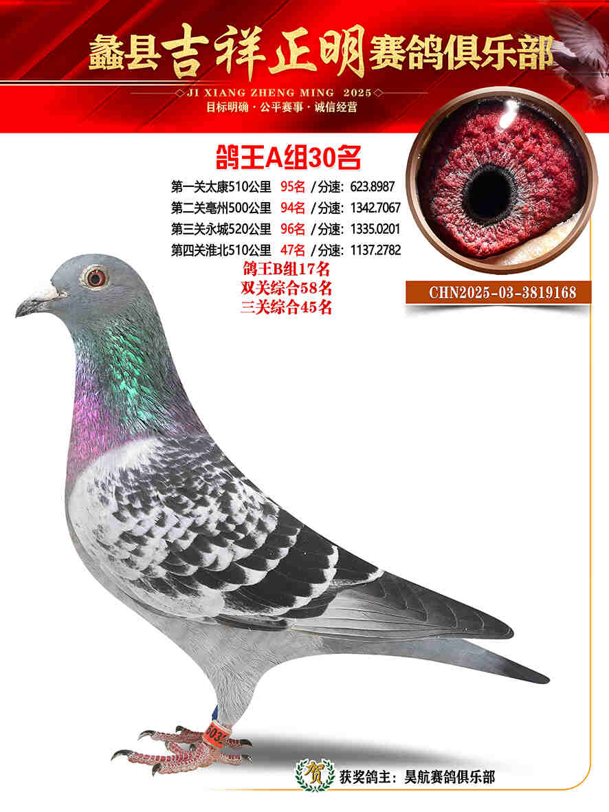 25年秋吉祥正明30号