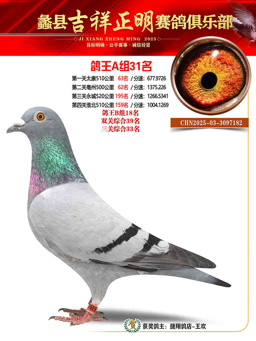 25年秋吉祥正明31号