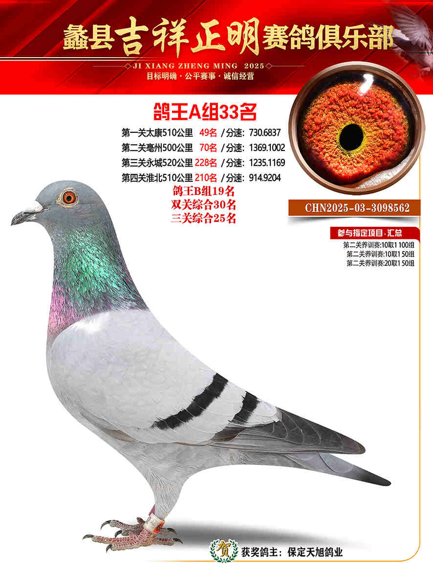 25年秋吉祥正明33号