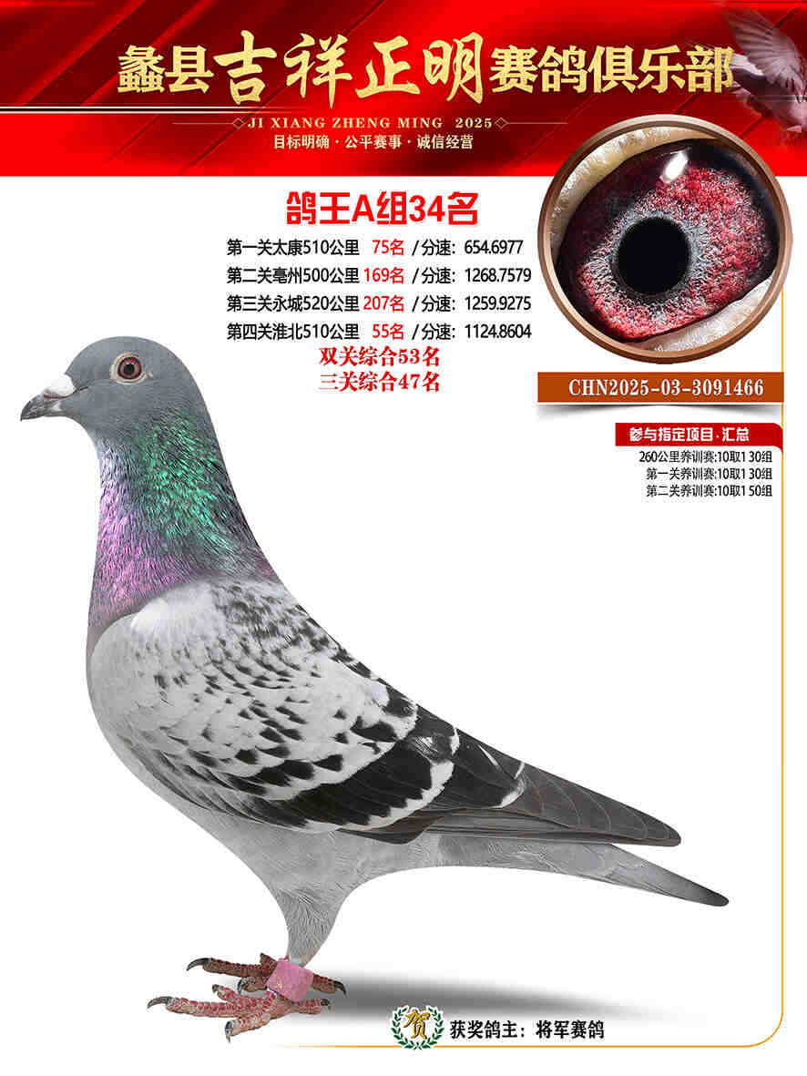 25年秋吉祥正明34号