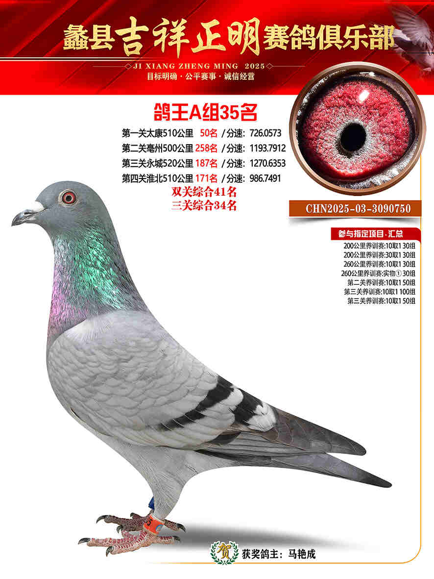 25年秋吉祥正明35号