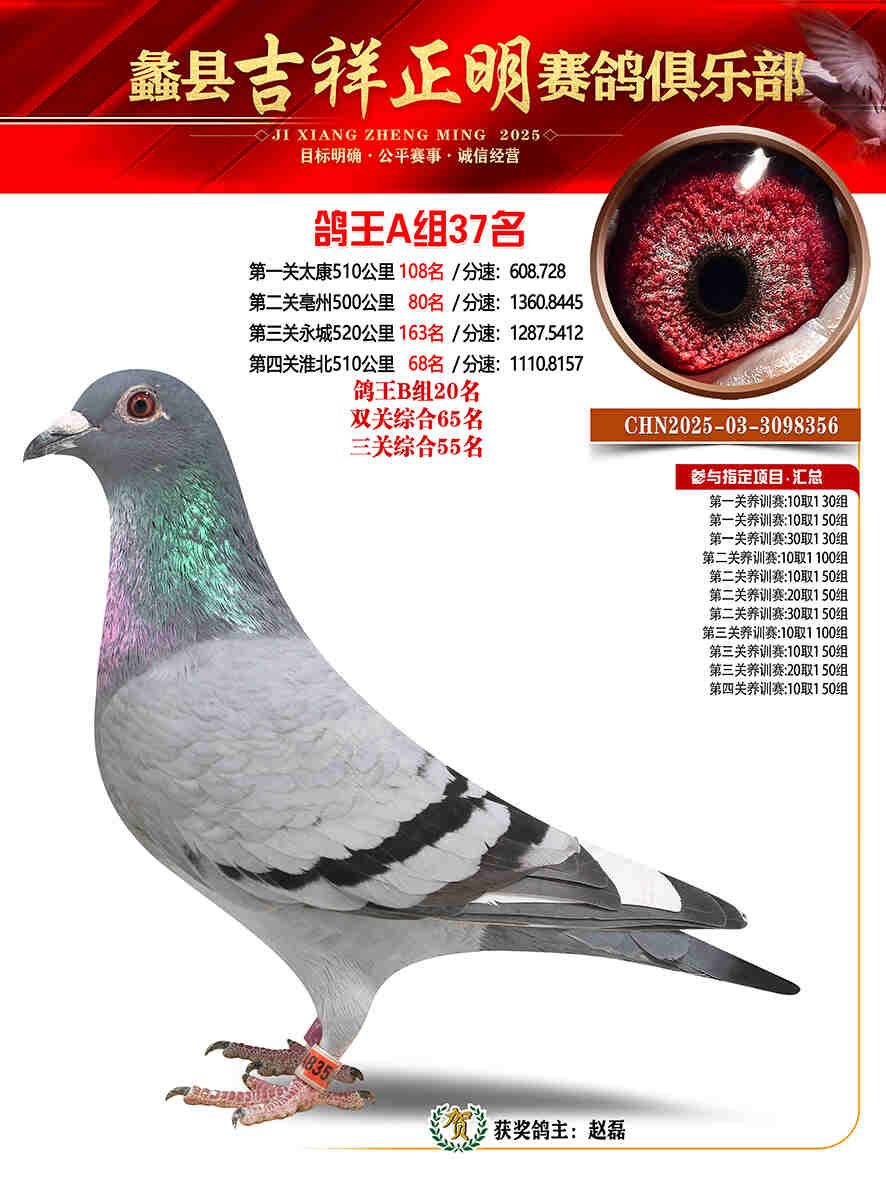 25年秋吉祥正明37号