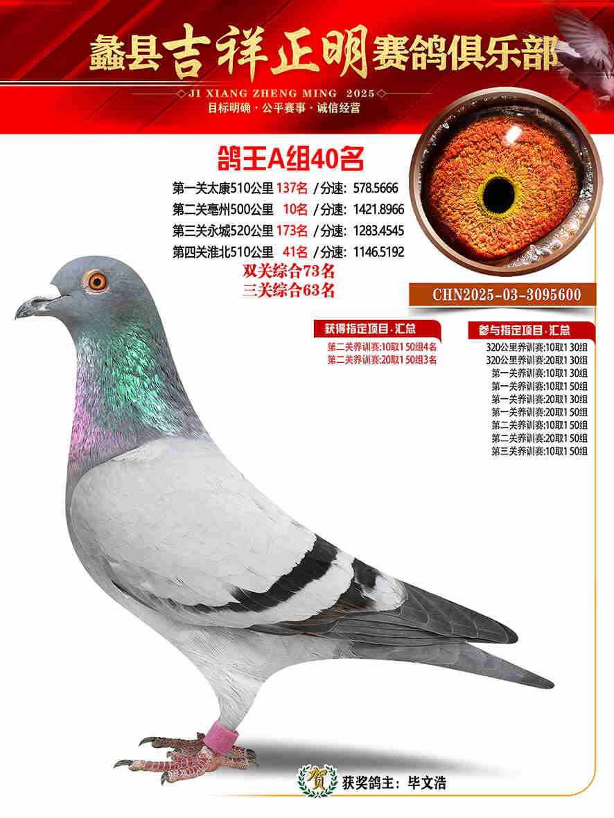 25年秋吉祥正明40号