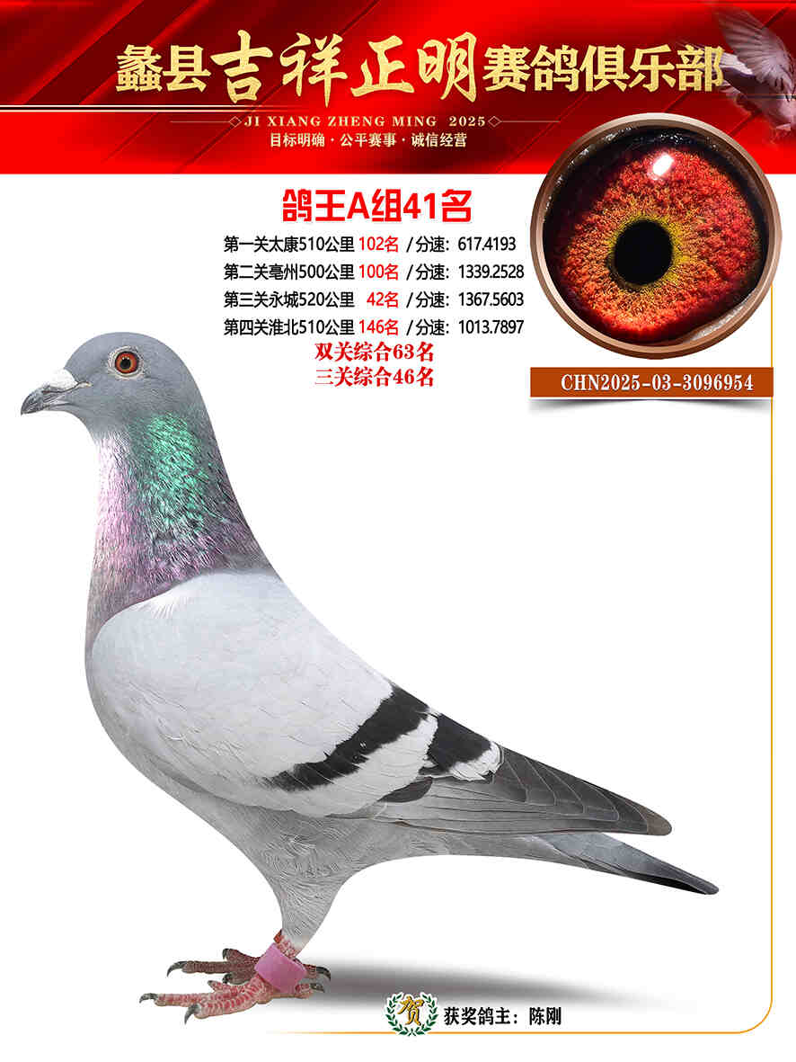 25年秋吉祥正明41号