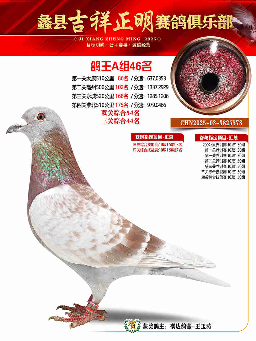 25年秋吉祥正明46号