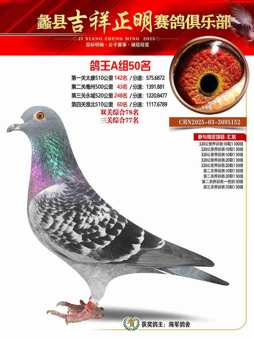 25年秋吉祥正明50号