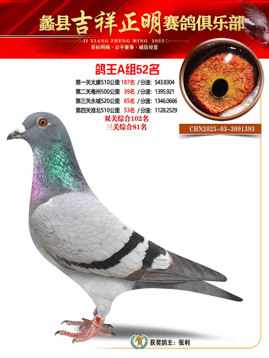 25年秋吉祥正明52号