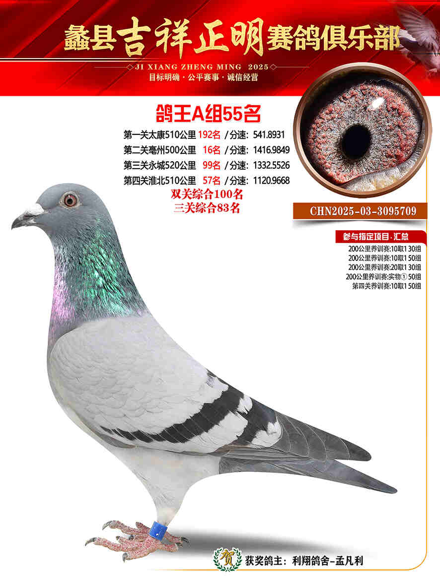 25年秋吉祥正明55号