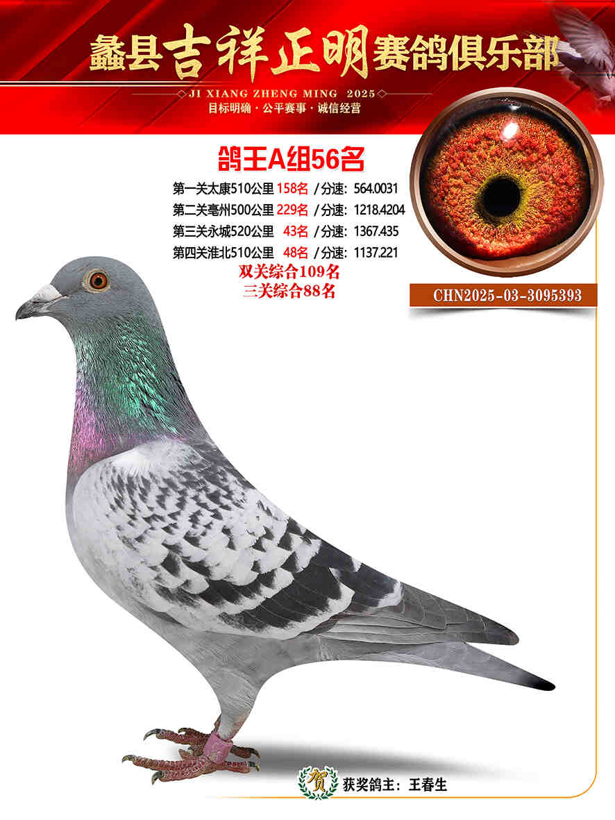 25年秋吉祥正明56号