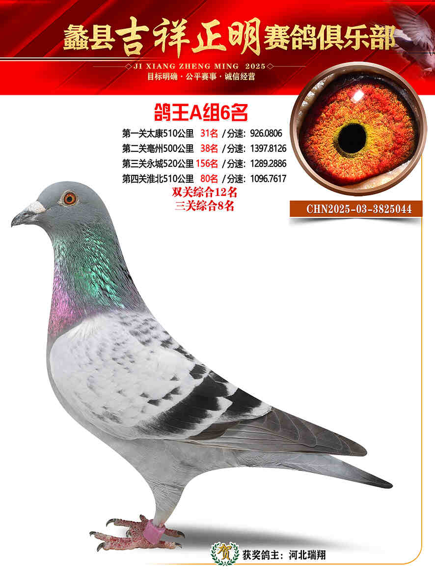 25年秋吉祥正明6号