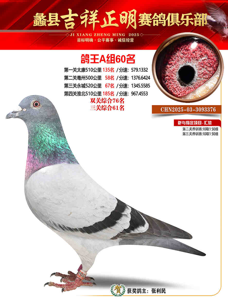 25年秋吉祥正明60号