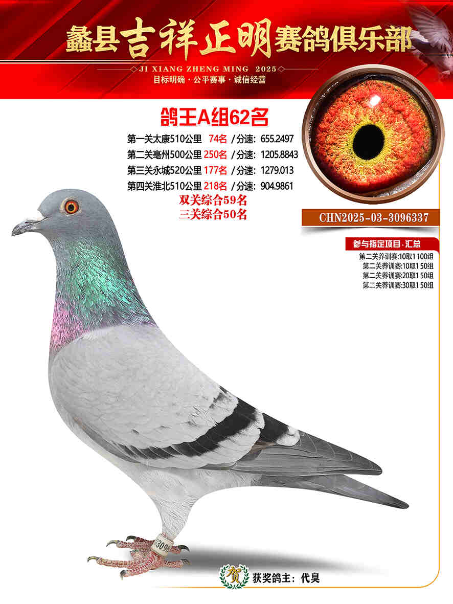 25年秋吉祥正明62号