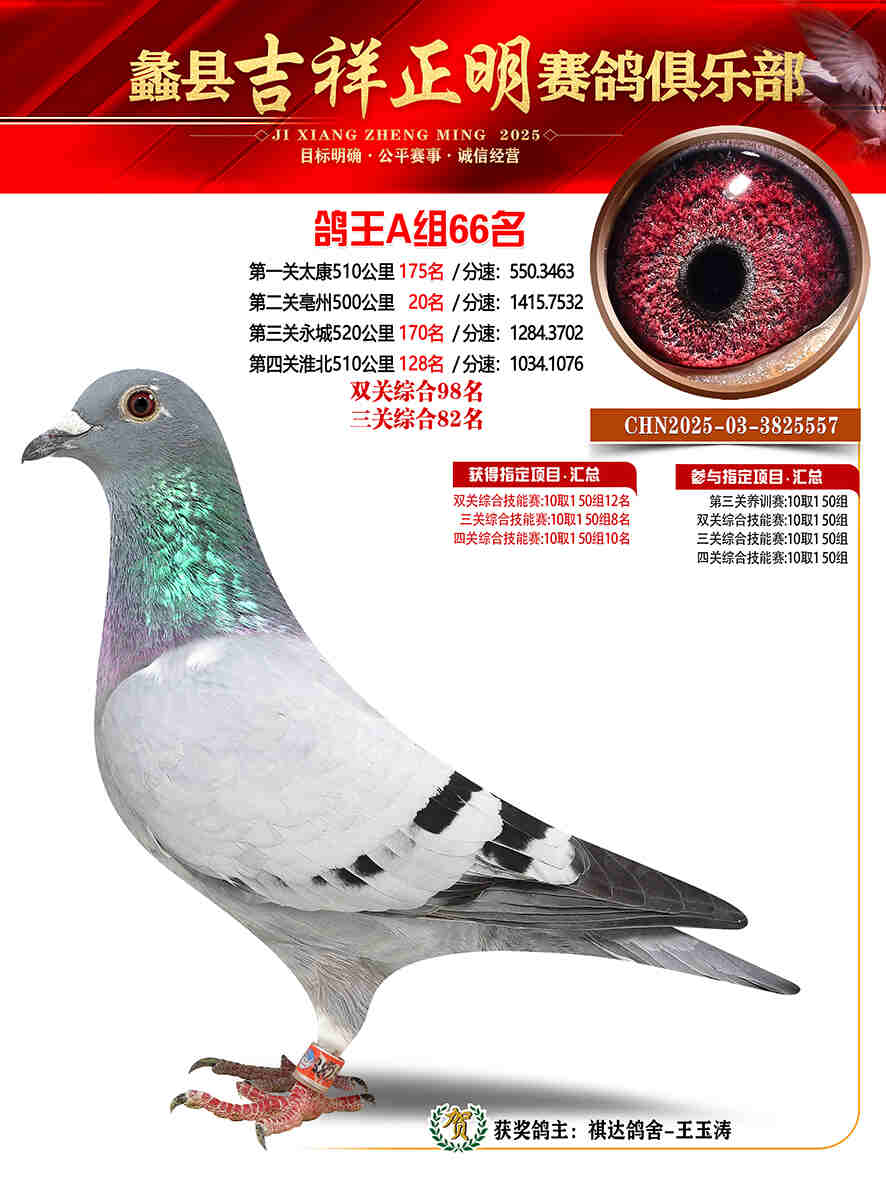 25年秋吉祥正明66号