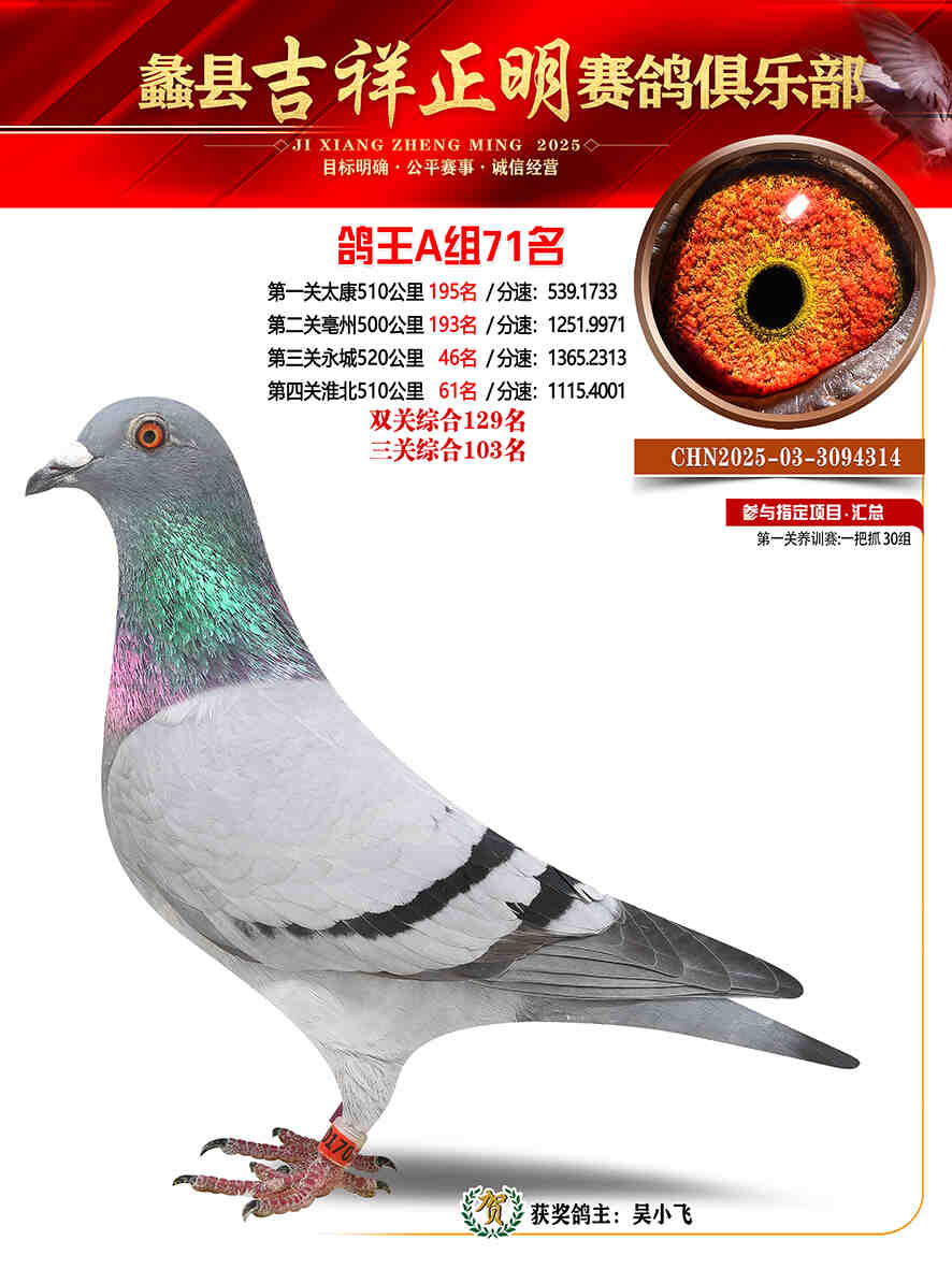 25年秋吉祥正明71号