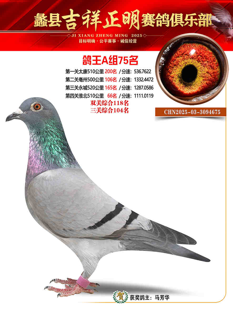 25年秋吉祥正明75号