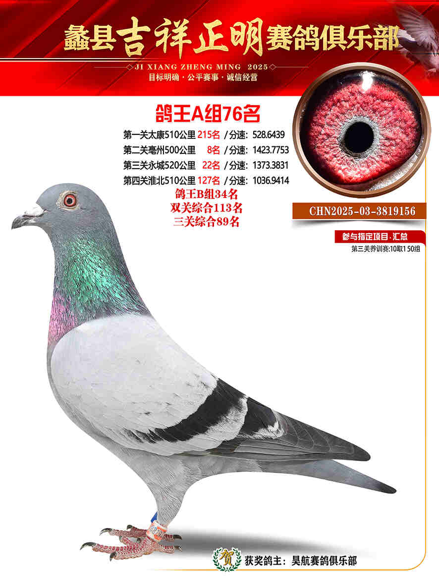 25年秋吉祥正明76号