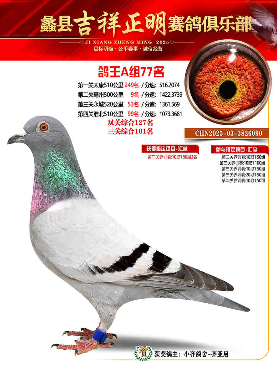 25年秋吉祥正明77号