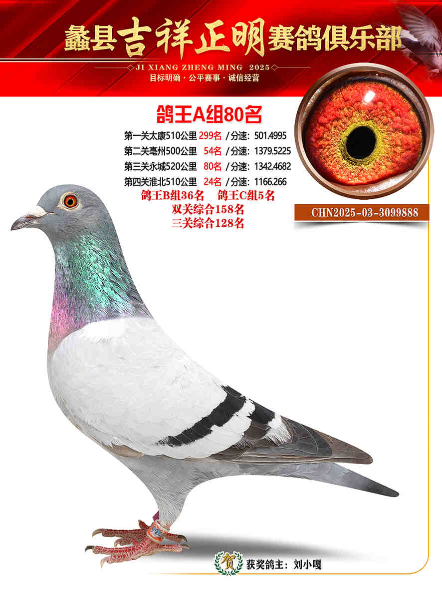 25年秋吉祥正明80号