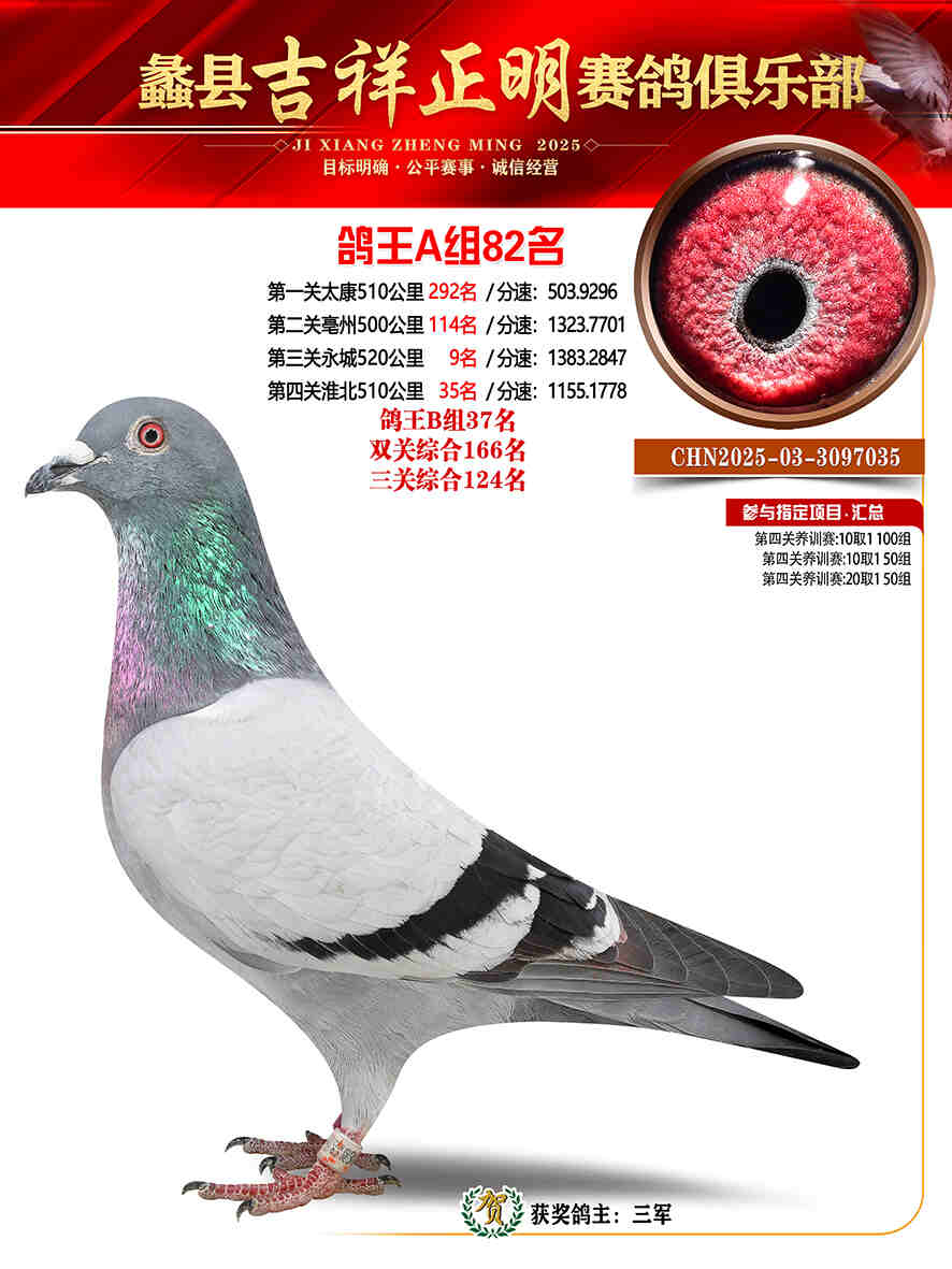 25年秋吉祥正明82号