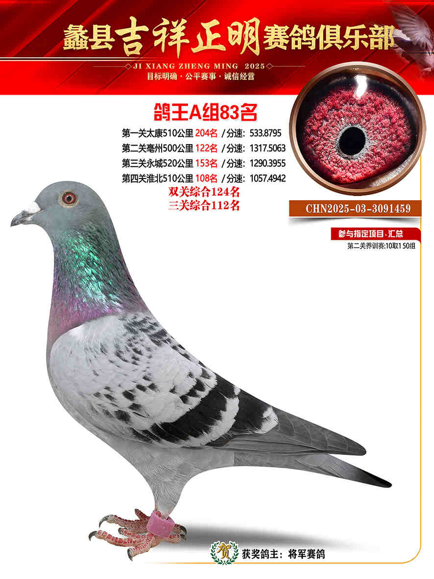 25年秋吉祥正明83号