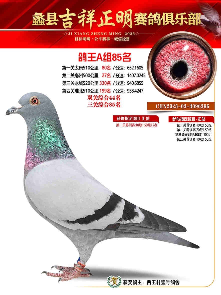 25年秋吉祥正明85号