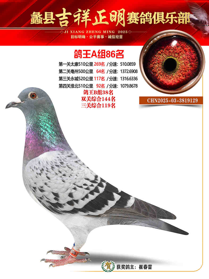 25年秋吉祥正明86号