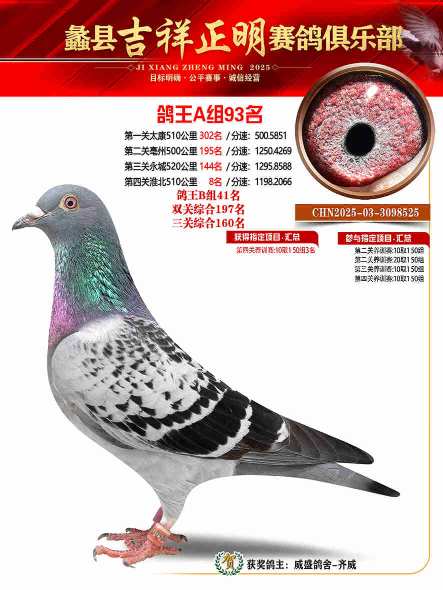 25年秋吉祥正明93号