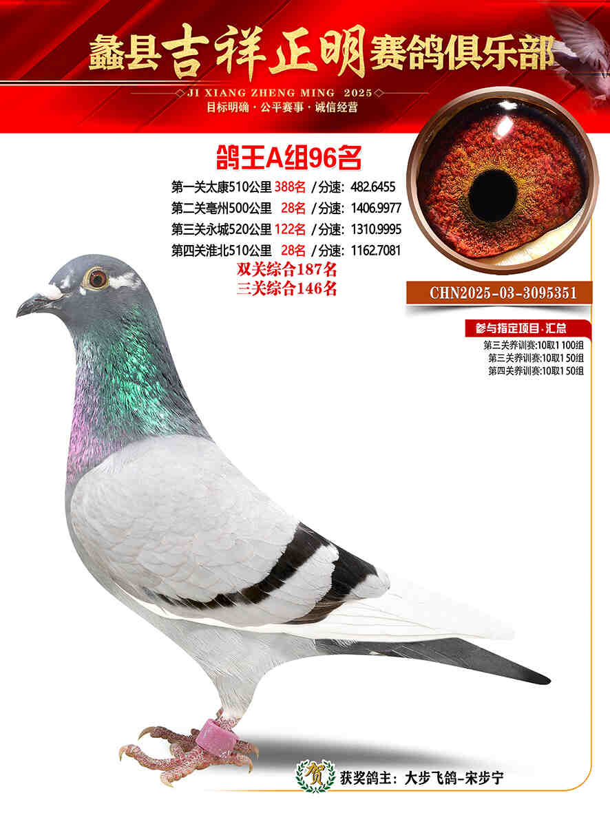 25年秋吉祥正明96号