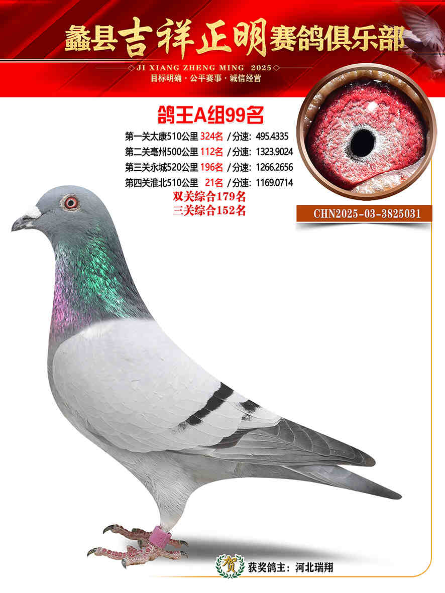 25年秋吉祥正明99号