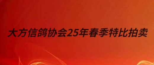大方信鸽协会25年春季特比拍卖